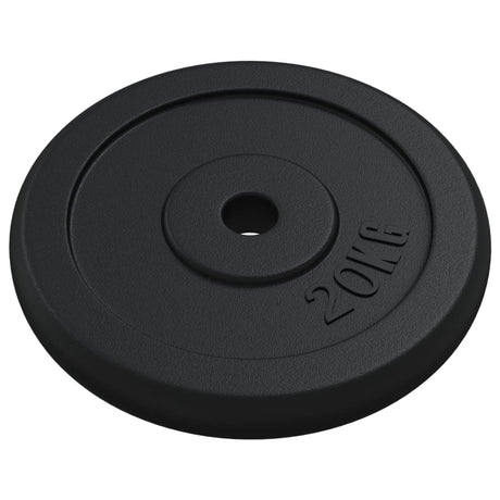 VIDAXL -Halfterscheibe 20 kg Gusseisen