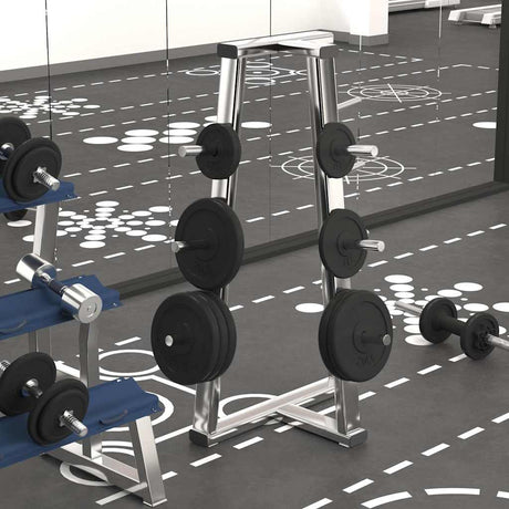 VIDAXL -Halfterscheibe 20 kg Gusseisen
