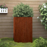 VIDAXL -Planungsbox 42x38x75 cm cortenstaal