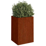 VIDAXL -Planungsbox 52x48x75 cm Cortenstaal