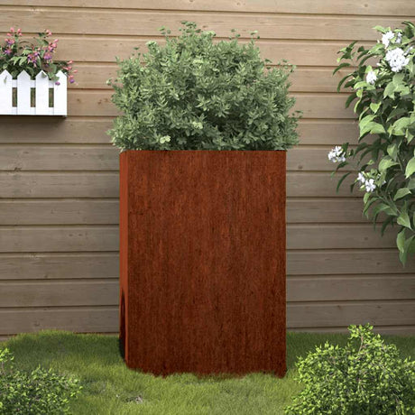 VIDAXL -Planungsbox 52x48x75 cm Cortenstaal