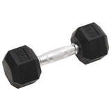 Vidaxl -Halter 2 PCs 12 kg Gusseisen