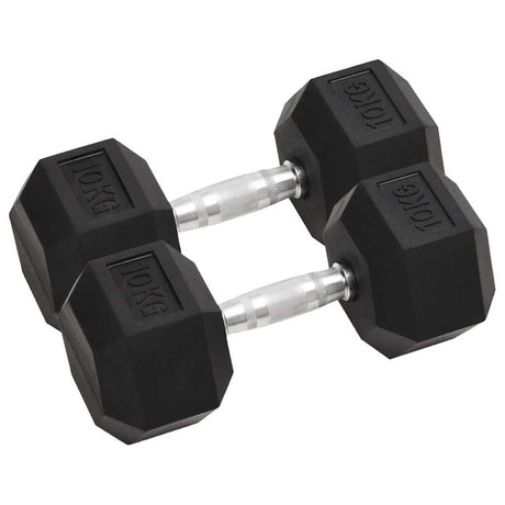 Vidaxl Halker 2 ST 20 kg Gusseisen