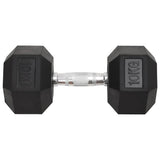 Vidaxl Halker 2 ST 20 kg Gusseisen