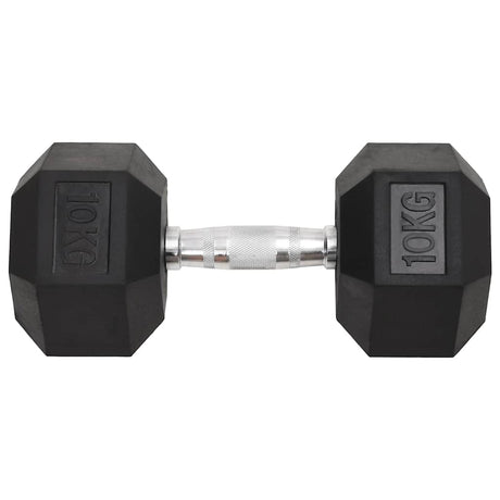 Vidaxl Halker 2 ST 20 kg Gusseisen