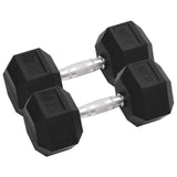 Vidaxl Halter 2 St 25 kg Gusseisen