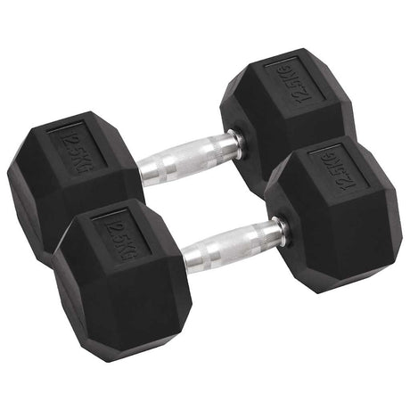 Vidaxl Halter 2 St 25 kg Gusseisen