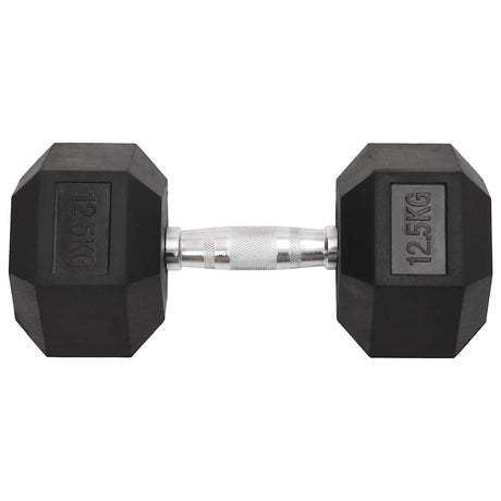 Vidaxl Halter 2 St 25 kg Gusseisen