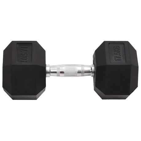 Vidaxl halters 17,5 kg gietijzer