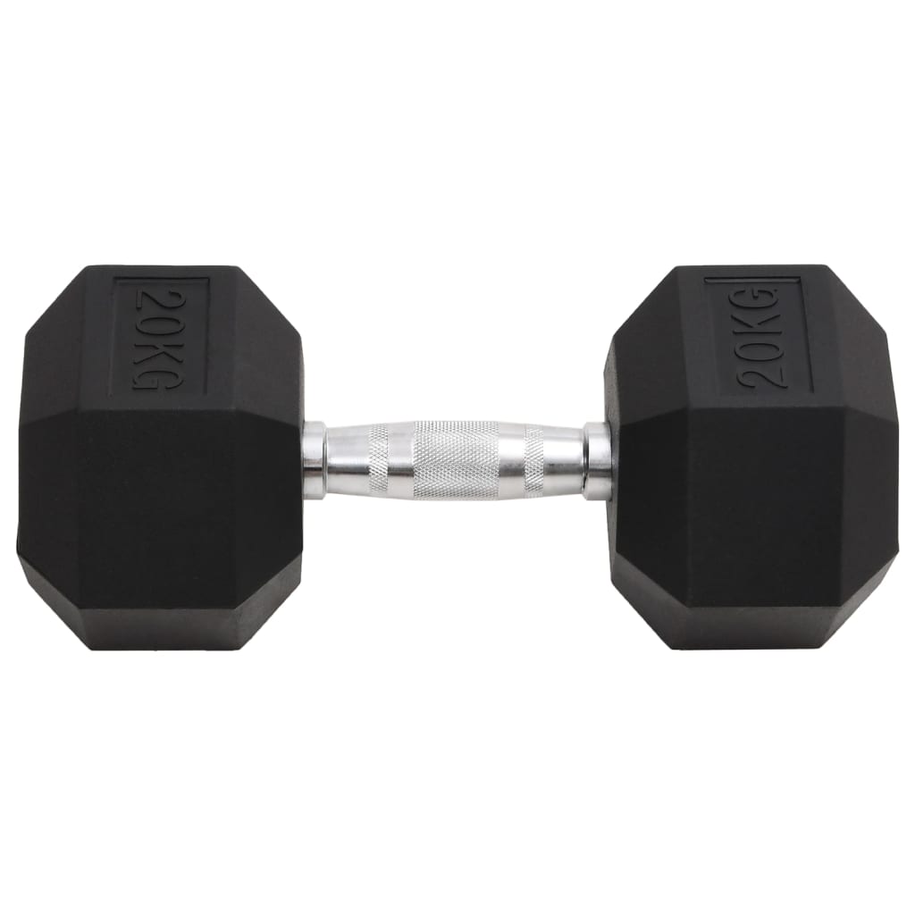 Vidaxl Halter 20 kg Gusseisen