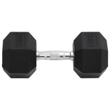 Vidaxl Halter 20 kg Gusseisen