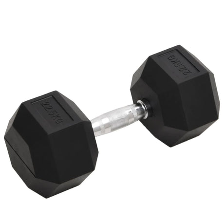 Vidaxl -Halter 22,5 kg Gusseisen