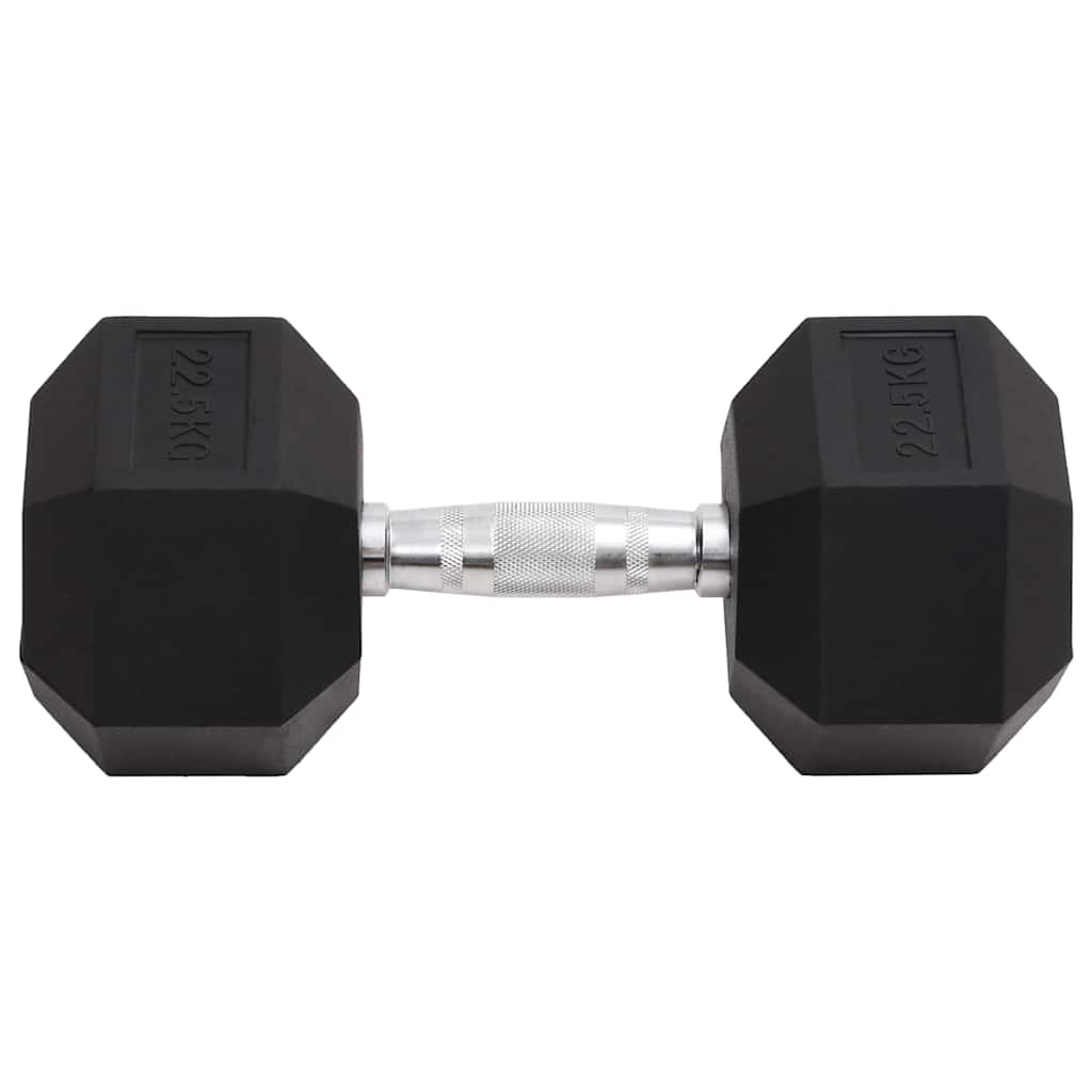 Vidaxl -Halter 22,5 kg Gusseisen