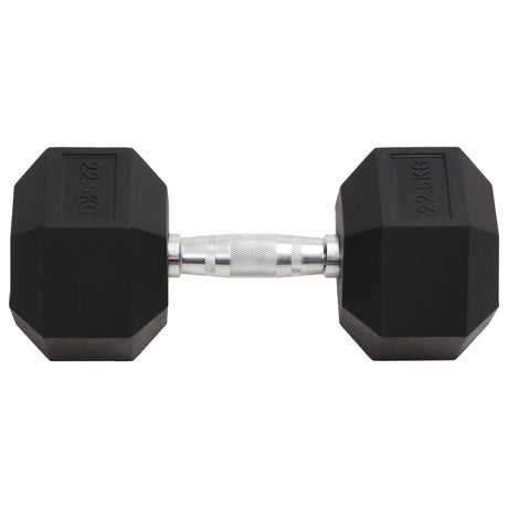 Vidaxl -Halter 22,5 kg Gusseisen