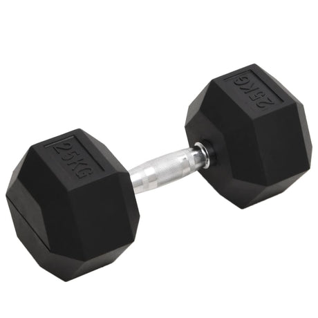 Vidaxl Halter 25 kg Gusseisen