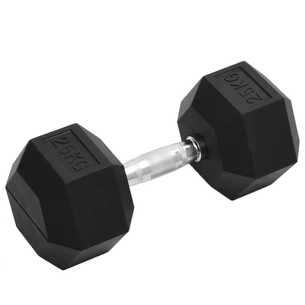 VidaXL Hanteln 25 kg Gusseisen