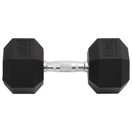 Vidaxl Halter 25 kg Gusseisen