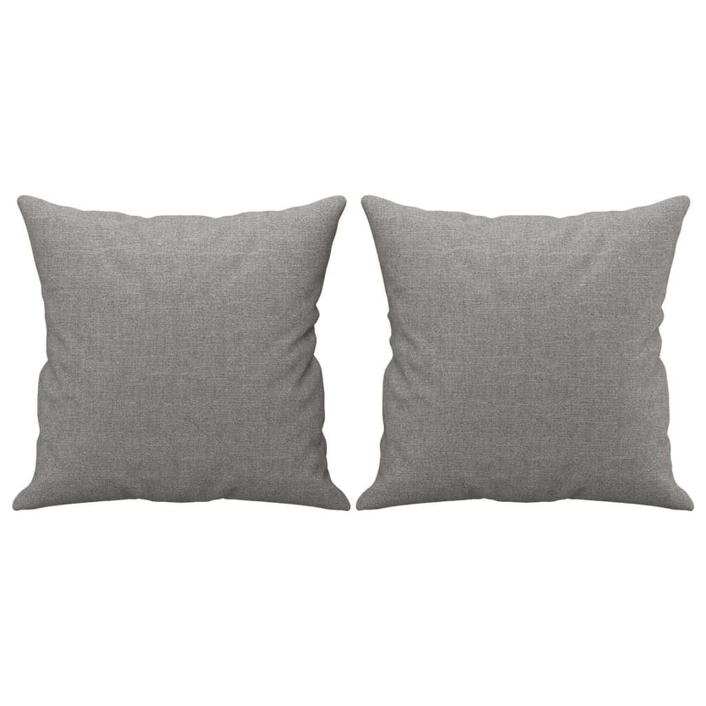 Vidaxl Dekorative Kissen 2 ST 40x40 cm Stoff hellgrau
