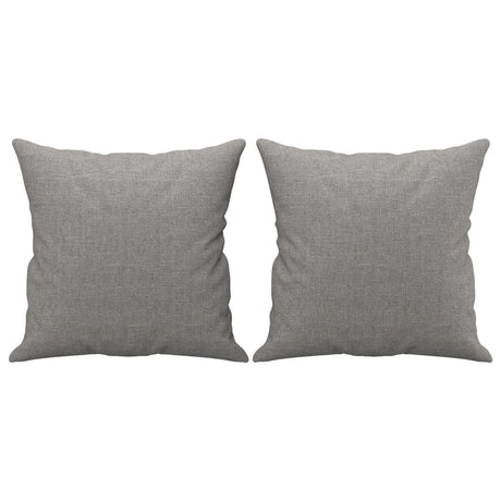 Vidaxl Dekorative Kissen 2 ST 40x40 cm Stoff hellgrau