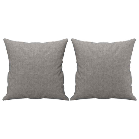 Vidaxl Dekorative Kissen 2 ST 40x40 cm Stoff hellgrau