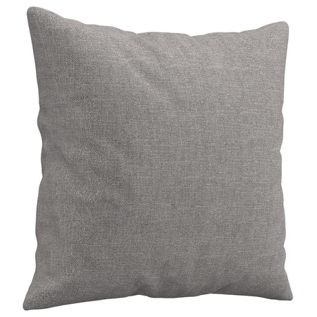 Vidaxl Dekorative Kissen 2 ST 40x40 cm Stoff hellgrau