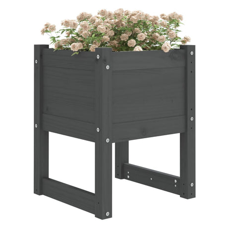 VIDAXL -Pflanzer 2 ST 40x40x52,5 cm Festkieferngrau grau grau