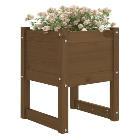 VIDAXL -Planungsbox 40x40x52,5 cm Festkiefer Honigbraun