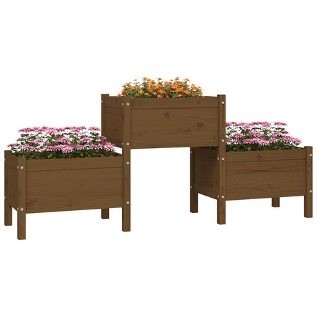 VIDAXL -Planungsbox 178.5x44x75 cm Festkiefer Honigbraun