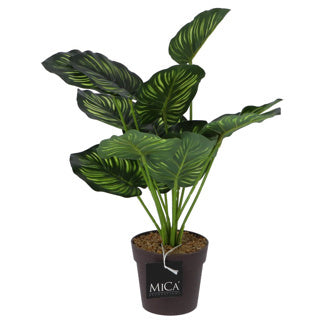 Glimmerdekorationen Kunstpflanze Calathea im Topf grün 40 cm