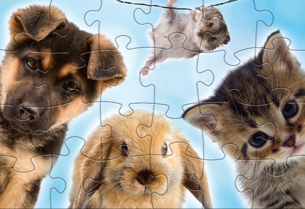 Rebo Puzzle 2x24 Teile – Baby-Anima