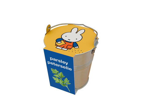 Nijntje kruiden in zinken emmertje peter | 2 stuks
