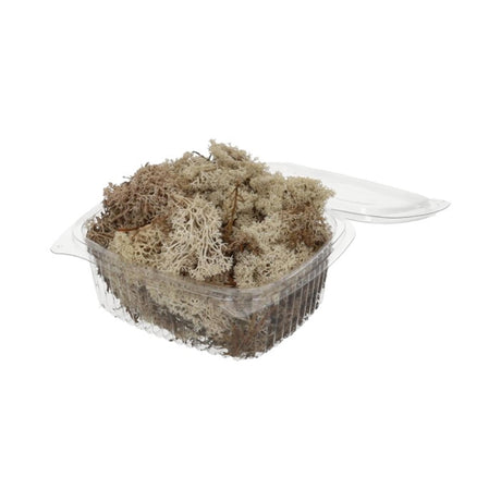 Hbx Natural Living Rentiermoos 50gr weiß Rentiermoos 50gr weiß
