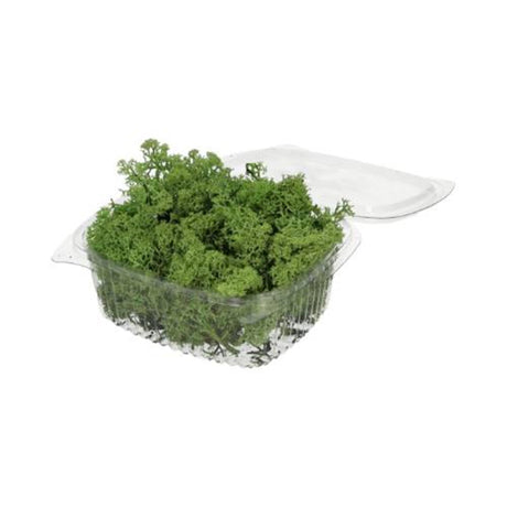 Hbx Natural Living Rentiermoos 50gr grün Rentiermoos 50gr grün