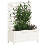 VIDAXL -Pflanzer mit Rack 79x39.5x114 cm Festkiefern Weiß weiß