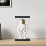 VidaXL Vitrine transparent 22x18x35 cm Acryl