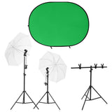 VidaXL Fotostudio-Set mit Beleuchtungsset und Hintergrundleinwand