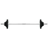 Vidaxl -Halfter mit Gewichten 90 kg Gusseisen