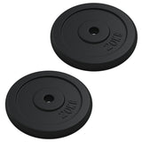 VIDAXL -Halfterscheibe 40 kg Gusseisen