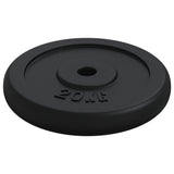 VIDAXL -Halfterscheibe 40 kg Gusseisen
