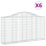 Vidaxl Schans Körbe 6 ST Gewölbe 200x30x100 120 cm Eisen