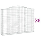 Vidaxl Schans Körbe 9 ST Gewölbe 200x30x140 160 cm Eisen
