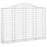 Vidaxl Schans Körbe 9 ST Gewölbe 200x30x140 160 cm Eisen