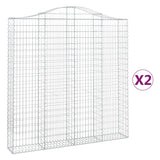Vidaxl Schans Körbe 2 ST Gewölbe 200x30x200 220 cm Eisen