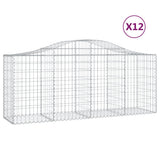 Vidaxl Schans Körbe 12 ST Gewölbe 200x50x80 100 cm Eisen