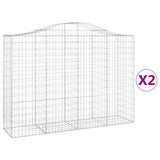 VIDAXL SCHANS Körbe 2 ST Gewölbe 200x50x140 160 cm Eisen