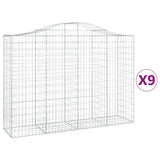VidaXL Gabionen 9 Stück gebogen 200x50x140 160 cm Eisen