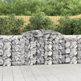VidaXL Gabionen 9 Stück gebogen 300x50x100 120 cm Eisen
