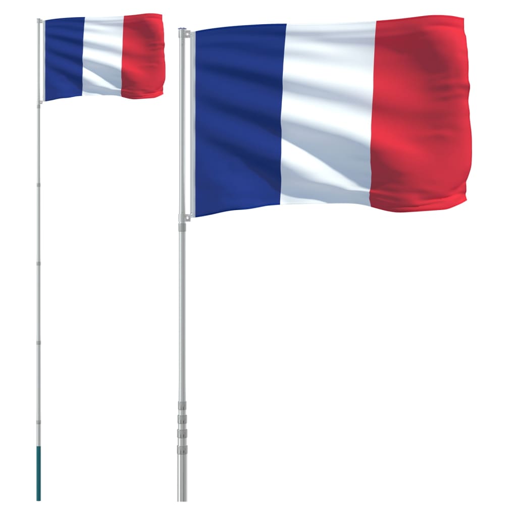 VidaXL Flagge mit Fahnenmast Frankreich 5,55 m Aluminium