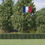 VidaXL Flagge mit Fahnenmast Frankreich 5,55 m Aluminium