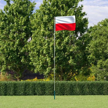Vidaxxl Flagge mit Fahnenstangen 5,5 m Aluminium